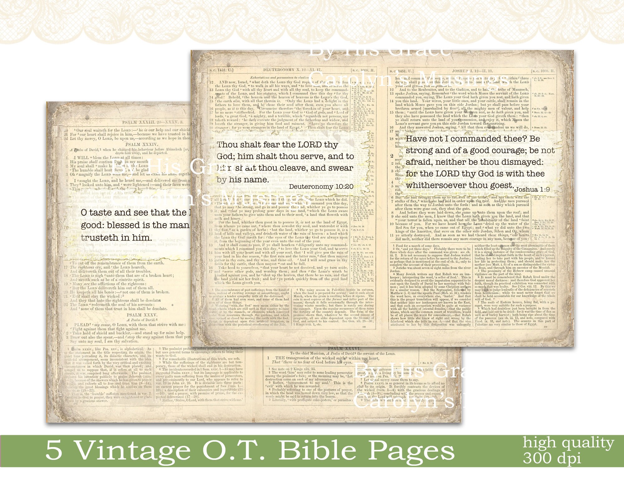 Printable Vintage Bible Pages, KJV Scripture (digital Download) - Etsy