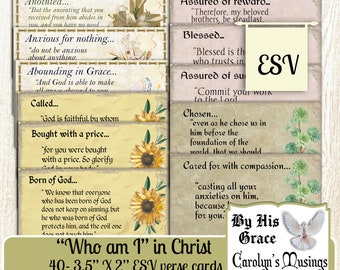 May include: A set of 40 inspirational verse cards featuring a variety of floral designs and the text "Who am I" in Christ. The cards are 3.5 inches by 2 inches and are printed with ESV scripture verses. The cards are designed by Carolyn's Musings.