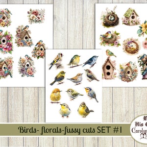May include: A set of digital images featuring birds, flowers, and birdhouses. The images are in a vintage style with watercolor-like textures. The set includes a variety of birds, flowers, and birdhouses in different colors and designs. The images are perfect for crafting, scrapbooking, and other creative projects.