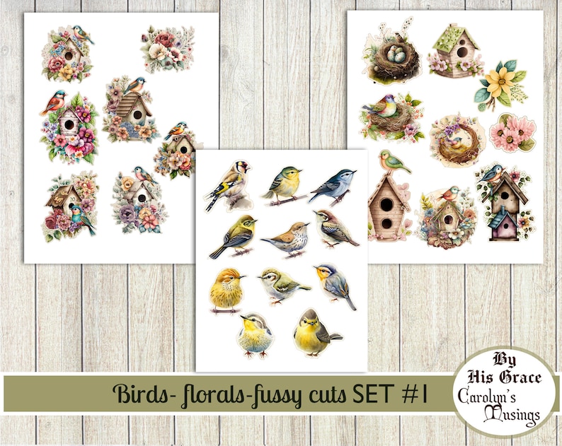 May include: A set of digital images featuring birds, flowers, and birdhouses. The images are in a vintage style with watercolor-like textures. The set includes a variety of birds, flowers, and birdhouses in different colors and designs. The images are perfect for crafting, scrapbooking, and other creative projects.