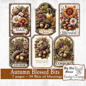 May include: A collection of six autumn-themed decorative cards with floral and acorn designs. Each card features a different word: Abide, Faith in Every Season, Blessed, Anchor, Comfort, and Every good gift... is from above. The bottom banner reads "Autumn Blessed Bits".