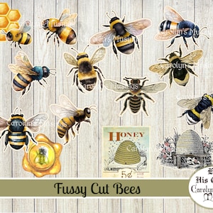 Abeilles coupées difficiles, pots de miel, ruches, journal indésirable, éphémères de scrapbooking, fabrication de cartes, embellissements de cartes, téléchargement numérique