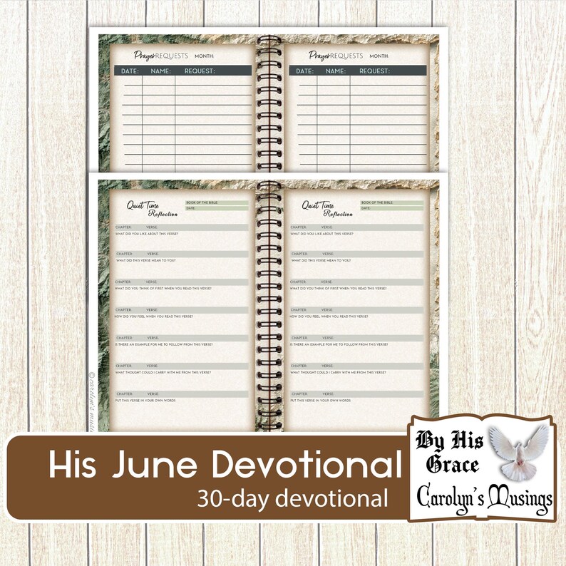 Masculine Faith Junk Journal with prayer request section, and a Reflection section