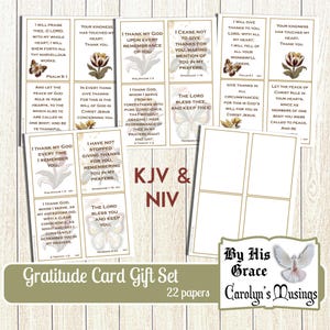 K&ouml;nnte beinhalten: Ein Set von Dankeskarten mit Bibelversen und floralen Illustrationen. Die Karten zeigen Texte wie "Ich danke meinem Gott" und "Der Herr segne dich." Das Set enth&auml;lt 22 Papiere und tr&auml;gt den Titel "Gratitude Card Gift Set."