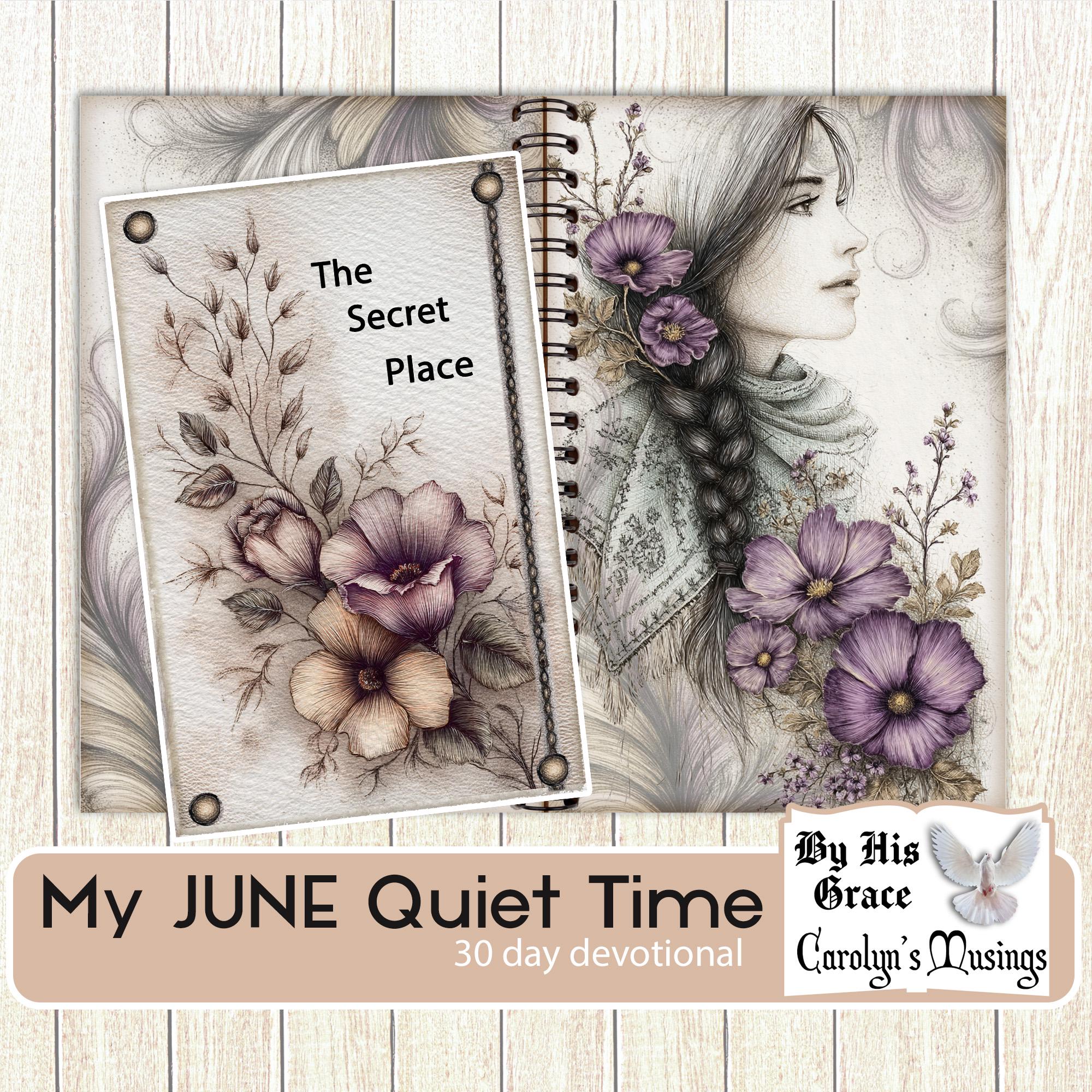 Faith Based Junk Journal Printable: June Daily Devotional (45-Page Prayer Reflection Kit) (Digital Download)