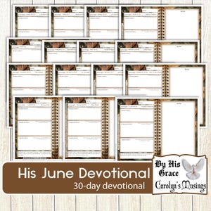Example of Christian Journal page with space for reflection