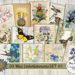Op de afbeelding: Een set van 39 mini-versieringen met vintage illustraties van bloemen, vlinders, vogels en muzieknoten. De versieringen zijn gedrukt op stevig papier en zijn perfect voor scrapbooking, kaart maken en andere knutselprojecten.