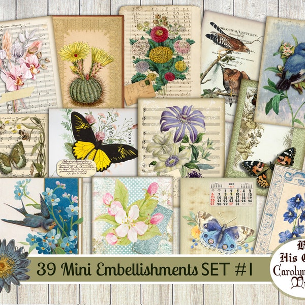 Mini Embellishment Junk Journal Fussy Cuts free tags Set #1 39 mini journal scrap embellishments