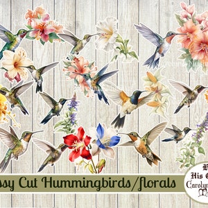 May include: Fussy cut digital images of hummingbirds and flowers. The images are perfect for scrapbooking, card making, and other crafting projects.  The images feature a variety of hummingbirds and flowers in a variety of colors.