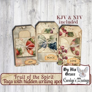 Afdrukbare Fruit of the Spirit-dagboektags | 18 efemere geloofstags met verborgen schrijfplekken | De mijmeringen van Caroline | NBV/NIV Scrapbooken