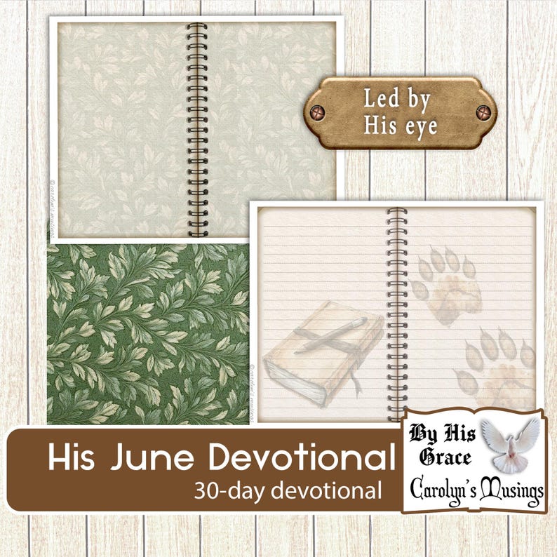 "Digital Download devotional with masculine design elements"