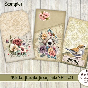 Fussy Cut Birds, Bird Houses, Florals, Junk Journal, Scrapbooking Ephemera, Digital Download, image 3