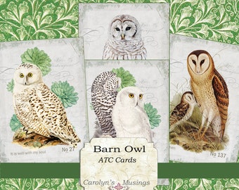 May include: A set of four vintage-style illustrated cards featuring different types of owls. The cards are titled "Barn Owl ATC Cards" and feature the text "It is well with my soul" and "Carolyn's Musings".
