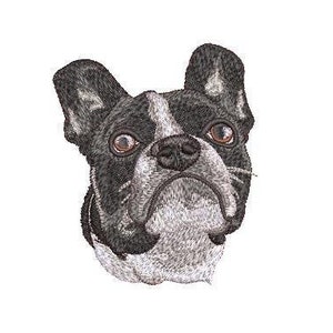 Boston Terrier Dog Embroidery Design __ Instant Download__ Realistic Boston Terrier Design