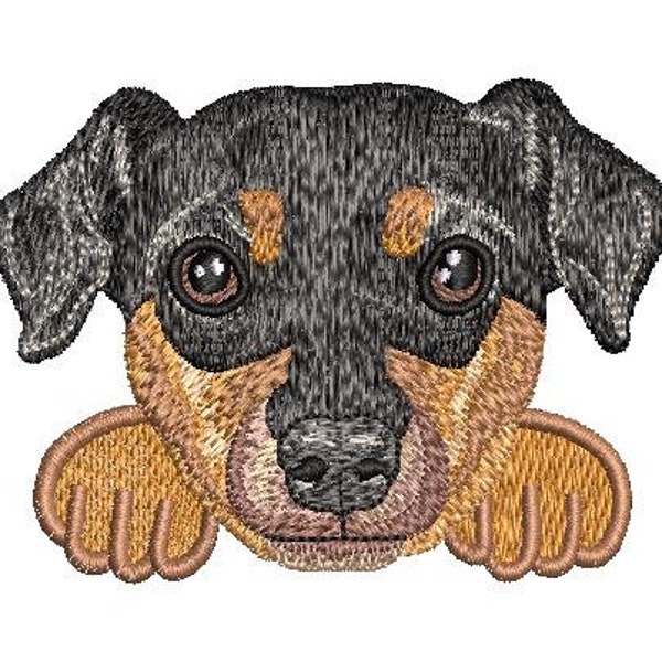 Mini Pinscher Embroidery Design __ Instant Download __ Cute Mini Pinscher Dog Embroidery Design