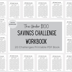 May include: A printable workbook with 20 savings challenges. Each challenge is a honeycomb grid with numbers to track savings goals. The workbook is titled "The Under $100 Savings Challenge Workbook".