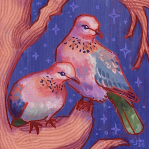Mourning Doves- Giclee Print