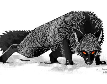 Black Wolf- Giclee Print