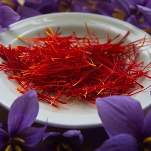 Premium Saffron Bulbs – Easy to Grow Crocus Sativus Corms – FREE Shipping!