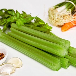 Celery Tall Utah, Heirloom, Easy to Grow, Good Flavor, 25 Seeds