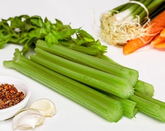 Celery Tall Utah, Heirloom, Easy to Grow, Good Flavor, 25 Seeds