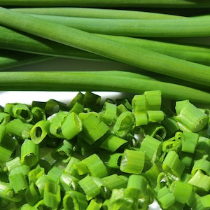 Chive Heirloom Seeds - Allium schoenoprasum, Herb, Perennial Plant, Culinary, Easy to Grow, Container Plant, 20 Seeds