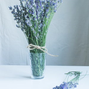 Op de afbeelding: Een boeket lavendelbloemen in een heldere glazen vaas met een bruine touw strik. De bloemen zijn gebonden met een bruine touw strik. De vaas staat op een wit oppervlak.