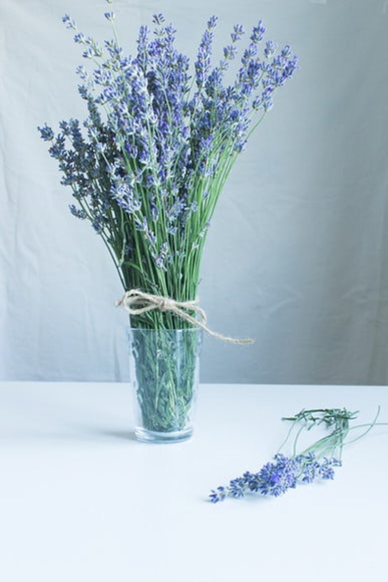 Op de afbeelding: Een boeket lavendelbloemen in een heldere glazen vaas met een bruine touw strik. De bloemen zijn gebonden met een bruine touw strik. De vaas staat op een wit oppervlak.