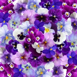 Blue, White and Purple Pansy Mix, Excellent Dried Flower Crafts, Fall Garden, Easy to Grow, Container Plant, 10 Seeds