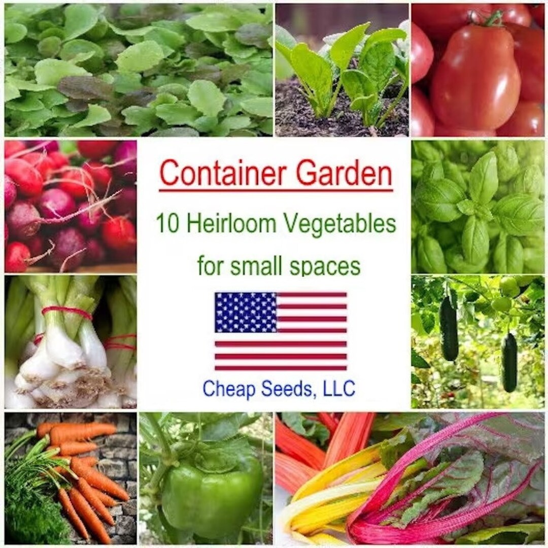 10 Container Garden Seed Packets 2024 Fresh Seeds for Small Etsy