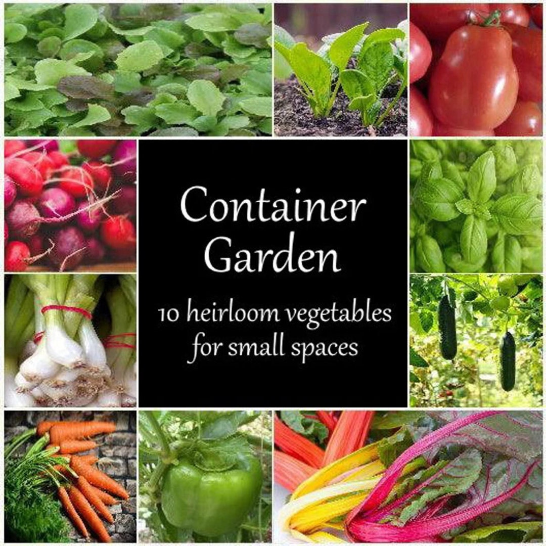10 Container Garden Seed Packets, 2024 Fresh Seeds for Small Spaces