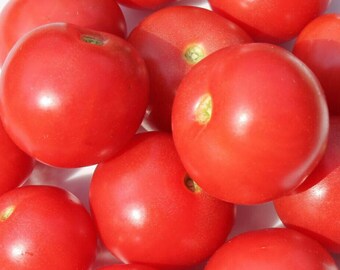 Pink Cherry Tomato, Very Productive, Produces Loads of Cherry Tomatoes, 20 Seeds