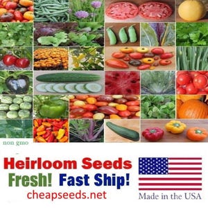 May include: A collage of fresh heirloom vegetable seeds, including tomatoes, peppers, cucumbers, watermelon, pumpkins, and more. The image includes the text "Heirloom Seeds Fresh! Fast Ship! cheapseeds.net Made in the USA".