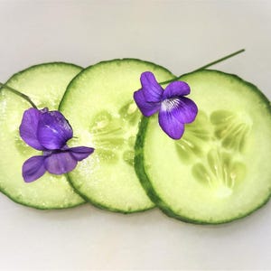 Boston Pickling Cucumber Seeds: Heirloom Variety, 20 Seeds