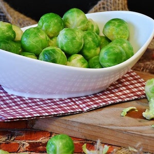 Long Island Improved Brussel Sprouts, Heirloom, Fall Garden, 25 Seeds