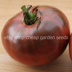 Cherokee Purple Organic Heirloom Tomato - Excellent Flavor, 10 Seeds