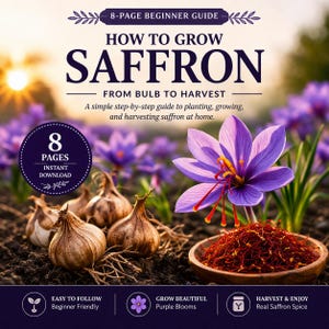 May include: A set of three ceramic mugs with a speckled, matte finish. Each mug features a different color: light blue, cream, and gray. The mugs have a simple, modern design, perfect for coffee or tea.