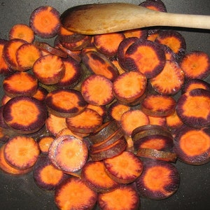Cosmic Purple Carrot, Daucus carota, Purple on Outside and Orange on the Inside, Good Flavor, 20 Seeds