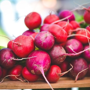 Easter Egg Radish, Heirloom, Pink, Purple, Red, and White, 50 Seeds