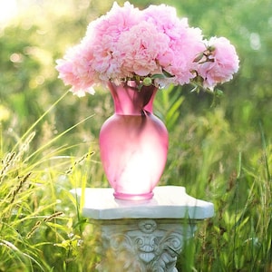 Giant Double Peony Poppy Flower Mix, Large Pom Pom Flower Heads, Unique Flower, Cut Flowers, 20 Seeds