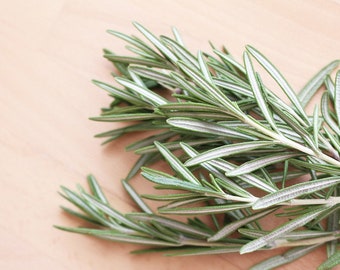 Rosemary, Fragrant Herb, Culinary Plant, Container Plant, Salvia rosmarinus, 5 Seeds