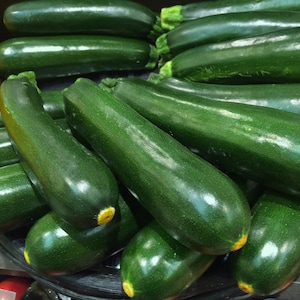 Black Beauty Zucchini, Cucurbita pepo, Summer Squash, 10 Seeds