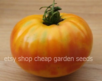 Big Rainbow Organic Heirloom Tomato - Large Beefsteak - 10 Seeds