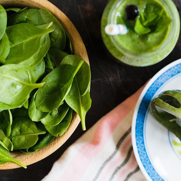 Giant Noble Spinach, Grows Large Leaves, Good Flavor, Plant in Cooler Weather, 20 Seeds