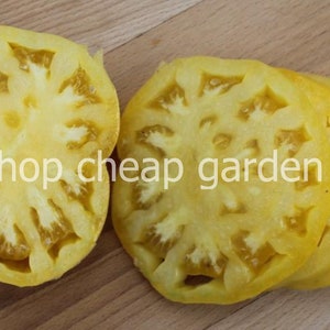 Kentucky Cabin Heirloom Tomato - Large Yellow, 10 Seeds