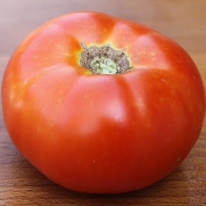 Beefsteak Tomato, Medium Globe, Excellent for Making Sauces, Freezing, 20 Seeds