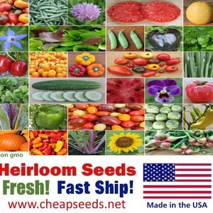 Heirloom Vegetable Seeds, Grow History in Your Garden: Over Seventy Exquisite Vegetables To Choose From, Fresh, 2025 Garden Seeds