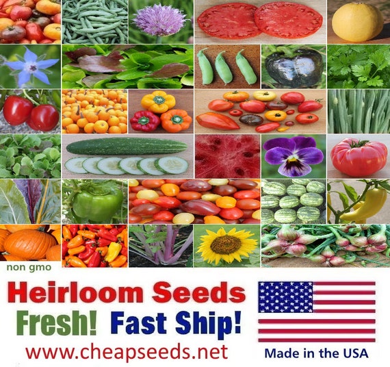 Heirloom Vegetable Seeds: 70+ Varieties, Fresh 2026 Garden Seeds