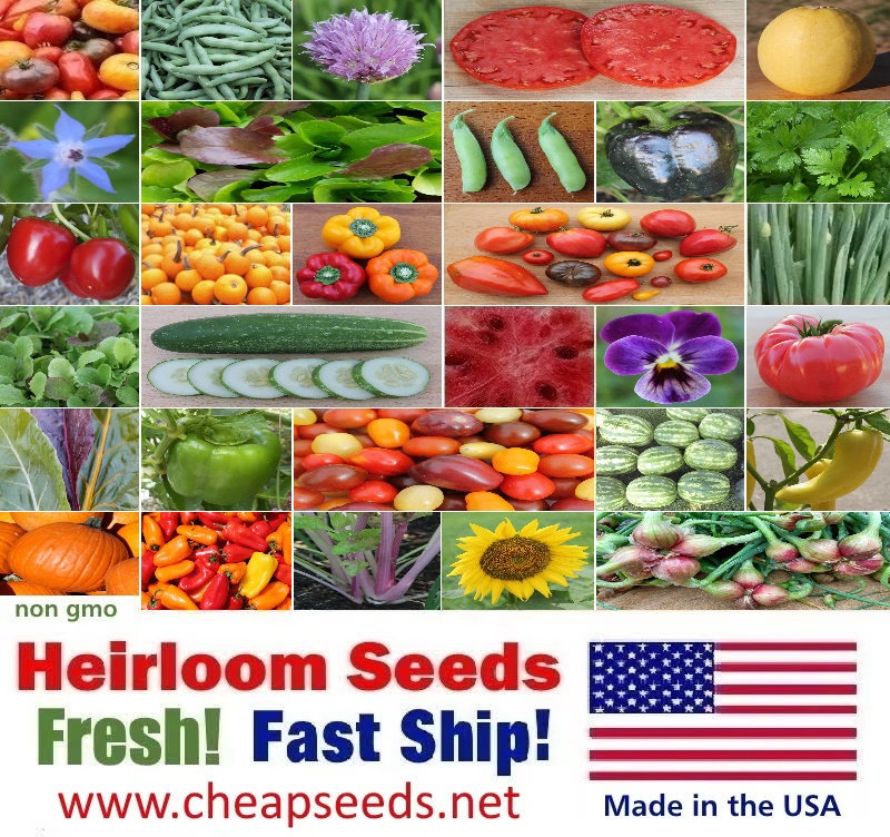 Heirloom Vegetable Seeds: 70+ Varieties, Fresh 2026 Garden