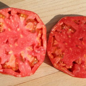 Ancka, Organic Heirloom Tomato, Large Red Beefsteak, 10 Seeds